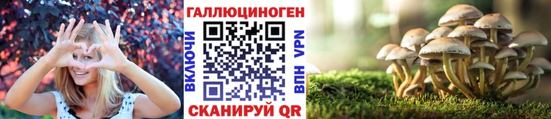 наркотики  Николаевск-на-Амуре  гидра как войти  Псилоцибиновые грибы ЛСД 
